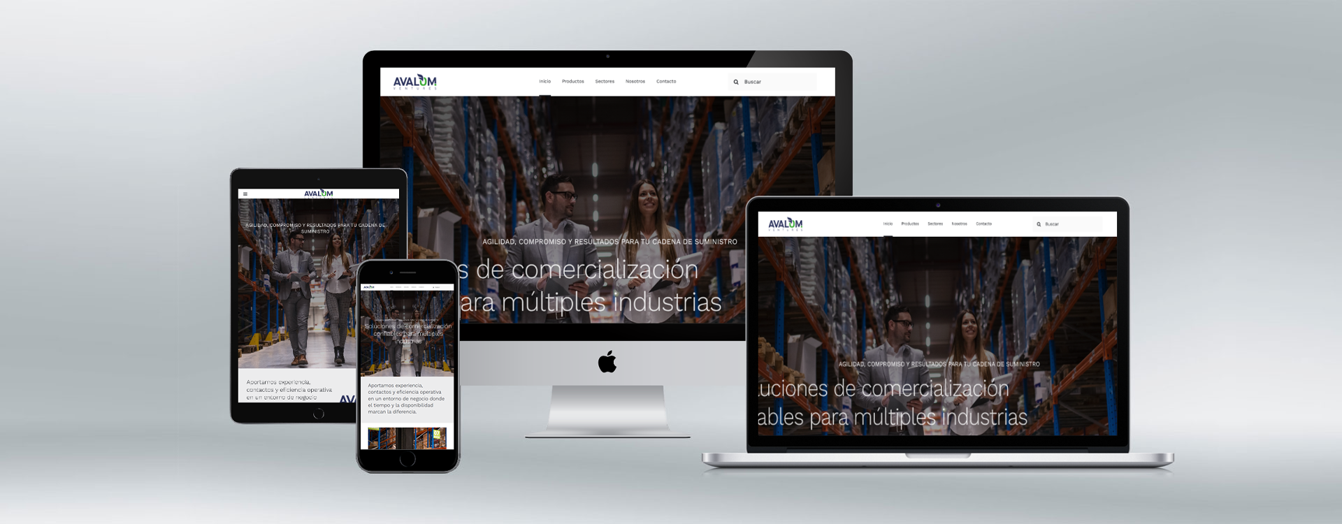 proyecto-mockup-avalom-ventures